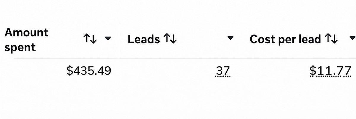 Meta ads results showing $435.49 spent, 37 leads, and $11.77 cost per lead